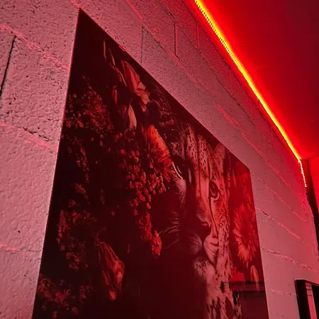 Lokal Za Zurke, Slavlja I Rodjendane Ferienhaus *